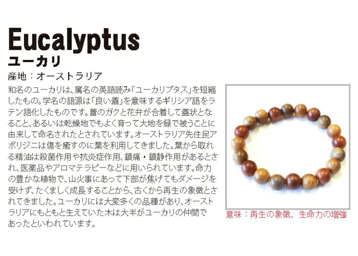 World Powers Wood (Australia) - Eucalyptus 8mm bracelet natural stones Health wealth