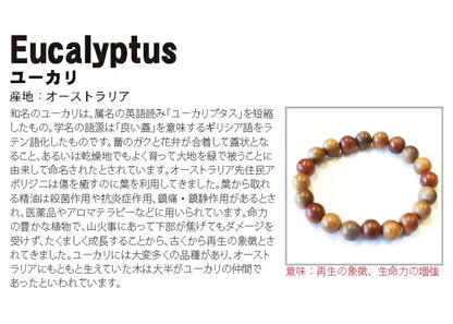 World Powers Wood (Australia) - Eucalyptus 12mm bracelet natural stones Health wealth