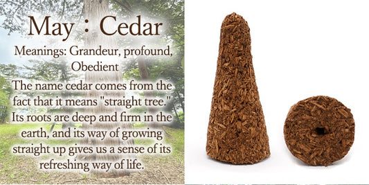 [Birthday Wood] Cone-shaped incense with holes [contains purifying salt] May Cedar