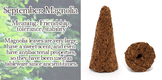 [Birthday Wood] Cone-shaped incense with holes [contains purifying salt] September Magnolia