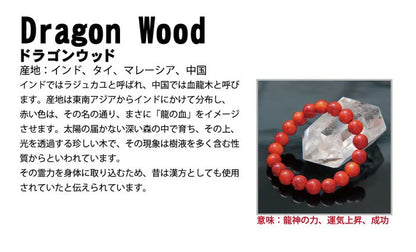 World Powers Wood (Indo) - Dragon Wood 10mm bracelet natural stones Health wealth