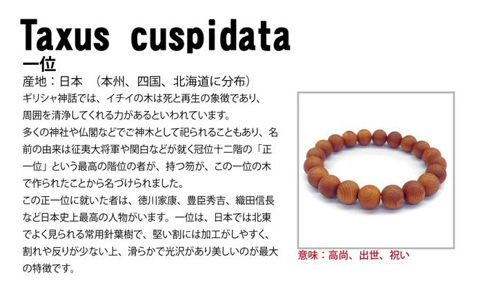 Japanese precious wood - Taxus Cuspidata Yew 10mm  bracelet natural stones Health wealth stones