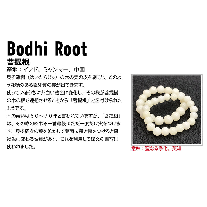 World Powers Wood (India) - Bofhi Root 8mm bracelet natural stones Health wealth